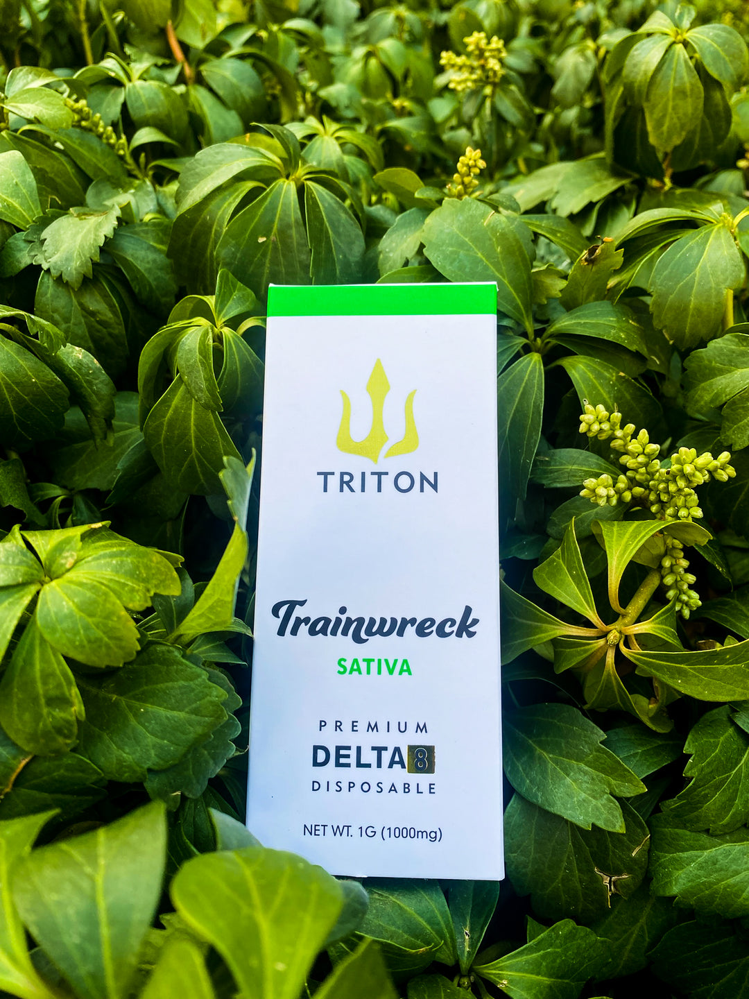 www.tritond8.com www.tritond8.com